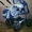 Продам коляску-трансформер ANMAR Lancer - Изображение #1, Объявление #270019