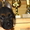 Продам щенка немецкой овчарки с родословной - Изображение #2, Объявление #489401