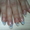 Моделирование ногтей гелем - Изображение #7, Объявление #458704