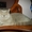 Очаровательные британские котята - Изображение #5, Объявление #720222