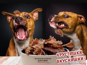 Сушеное кроличье и говяжье мясо для собак. По оптовым ценам в розницу! - Изображение #1, Объявление #1572311